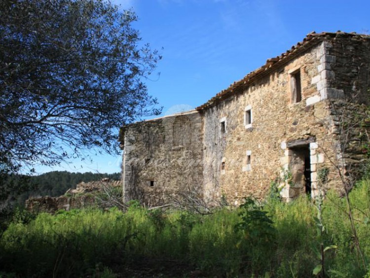 Detall de la part posterior de la masia
